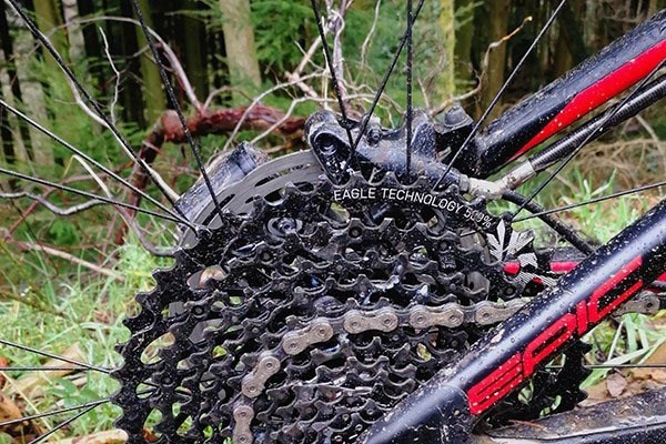 Team Rider Dave takes a closer look at the Epic's Gearing